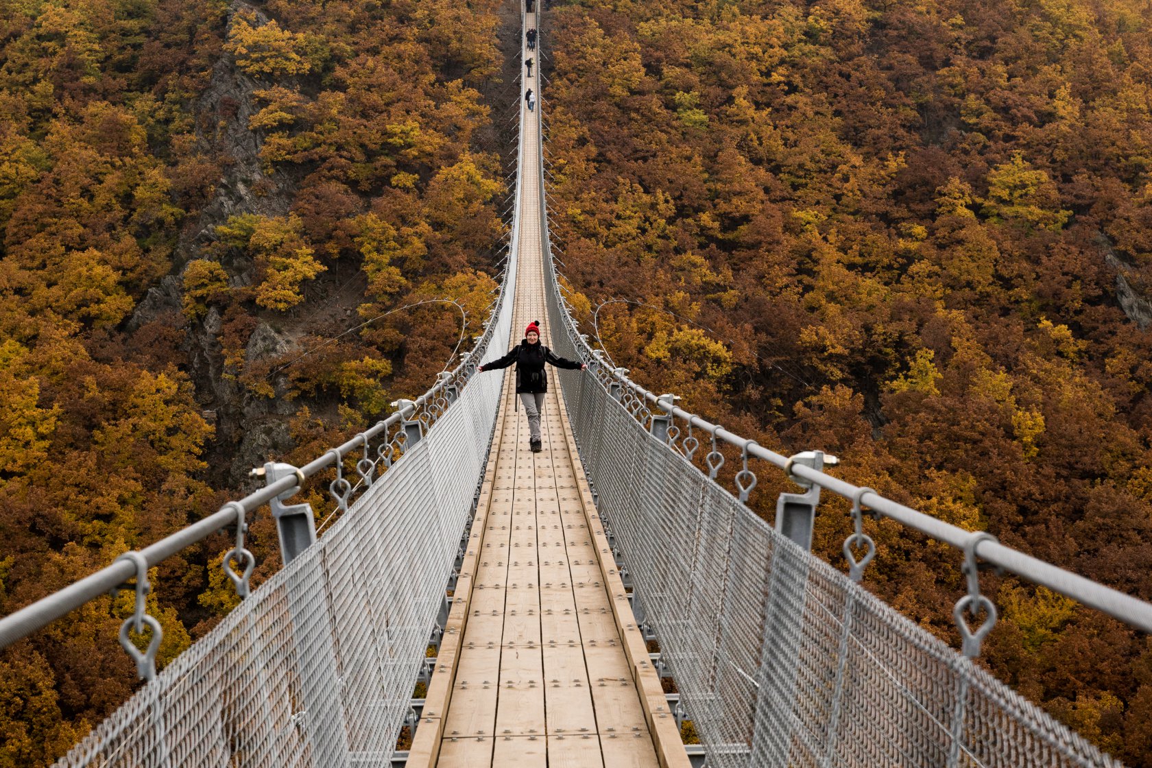 Geierlay Hängebrücke (1)